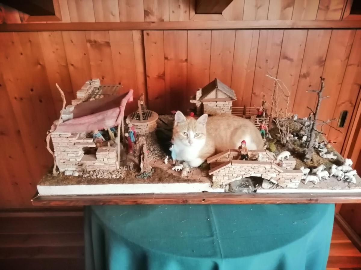 B&B Da Paolo Con Vista Lago Di Garda サン・ゼーノ・ディ・モンターニャ エクステリア 写真